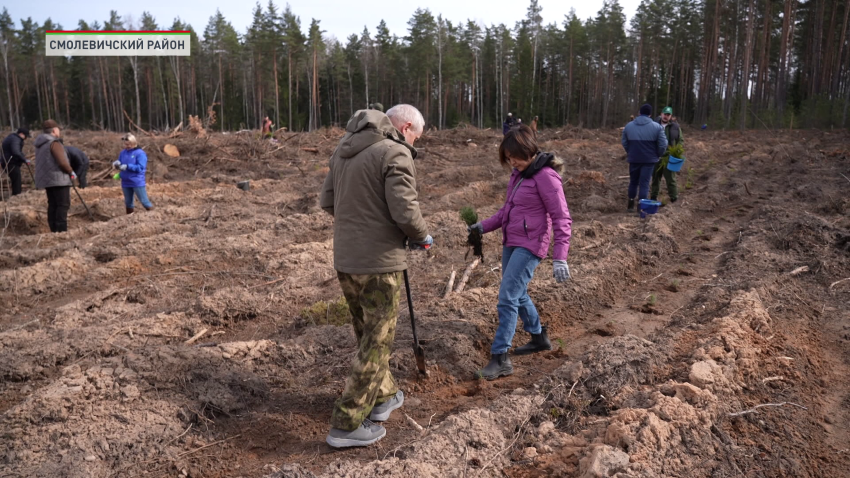 Представители Исполнительного комитета СНГ присоединились к акции «Лес! Дабро! Парадак!»