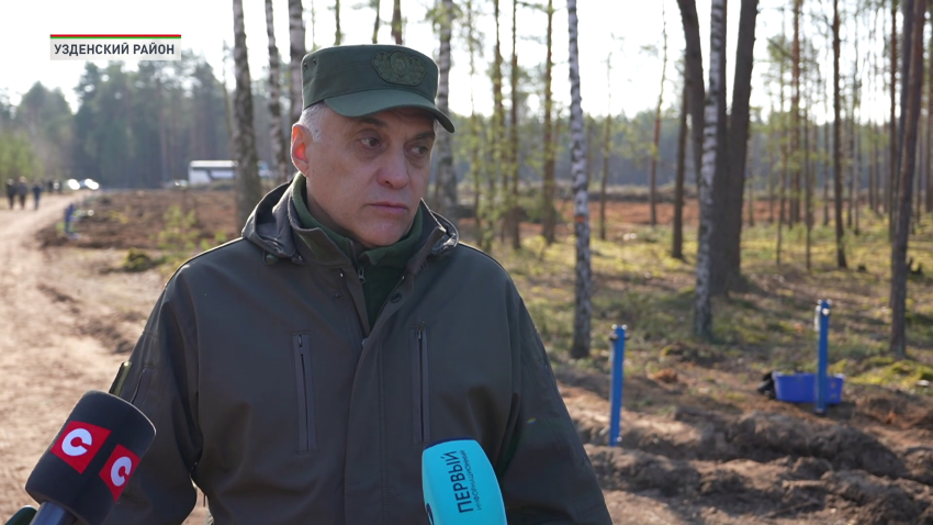 Александр Вольфович