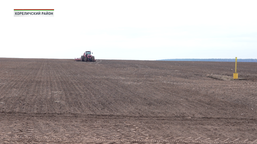 В Беларуси к севу льна-долгунца приступили все регионы