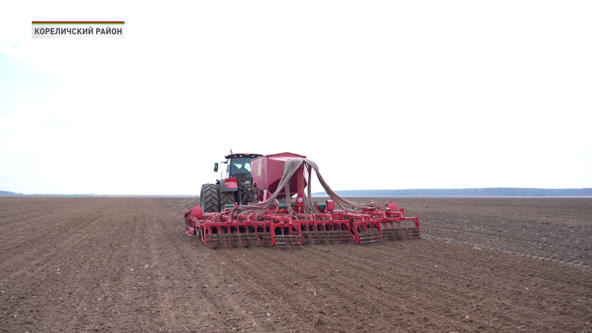 В Беларуси к севу льна-долгунца приступили все регионы