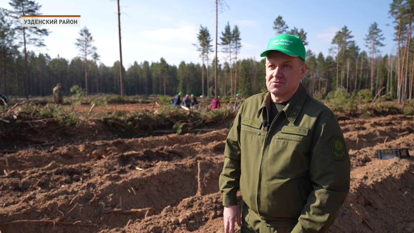 Александр Кулик