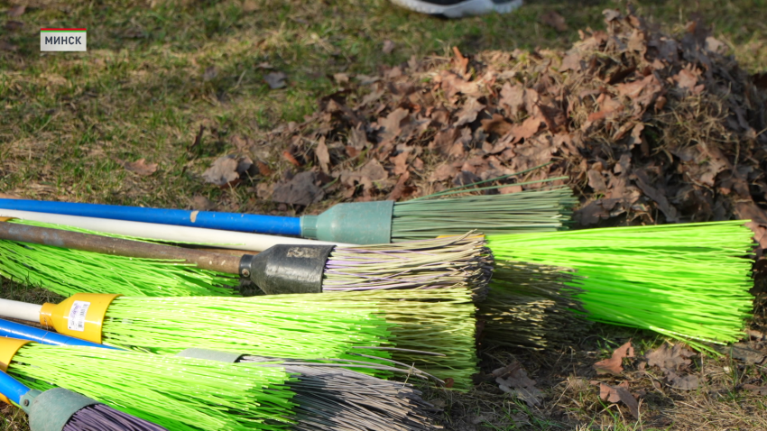 Около тысячи активистов БРСМ присоединились к молодежному субботнику в Минске