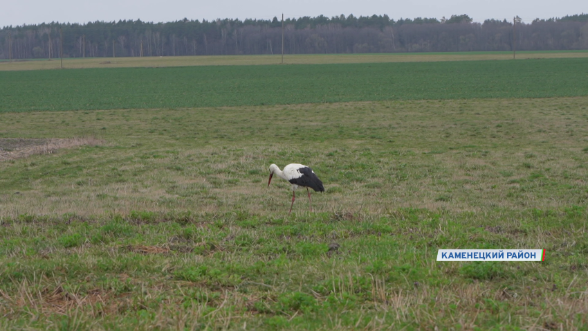 сельское хозяйство