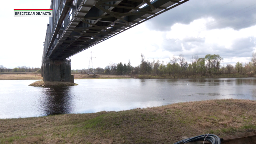 В Беларуси приступили к строительству нового моста через Припять