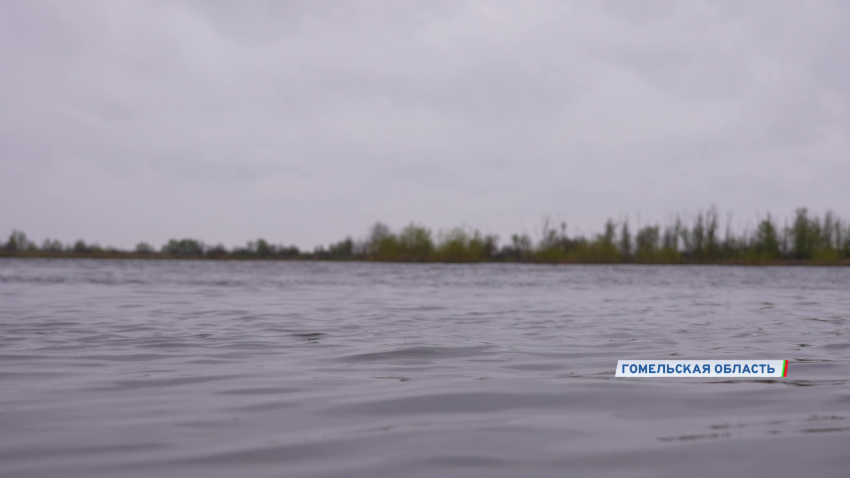  Чем Беларусь привлекательна для туристов