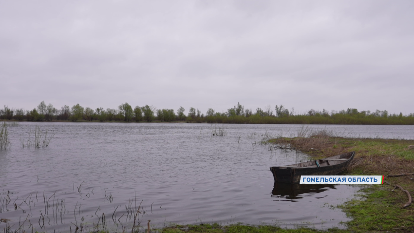  Чем Беларусь привлекательна для туристов