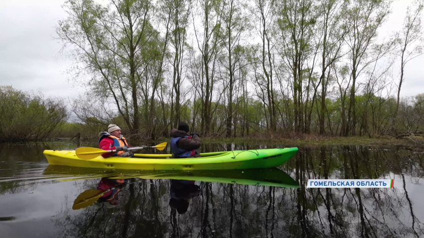  Чем Беларусь привлекательна для туристов