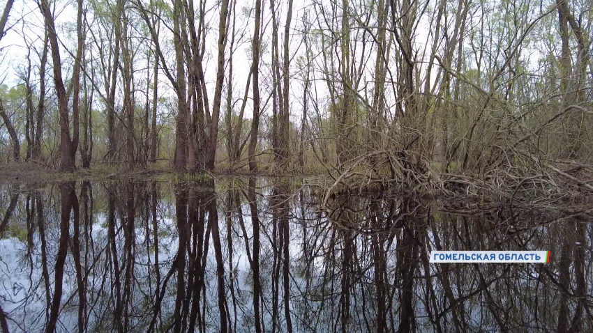  Чем Беларусь привлекательна для туристов