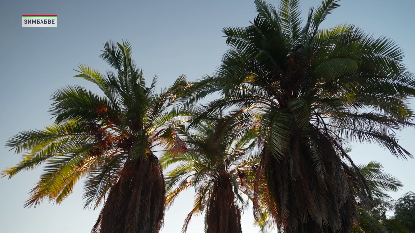 В Зимбабве откроют новый сервисный центр по обслуживанию белорусской техники