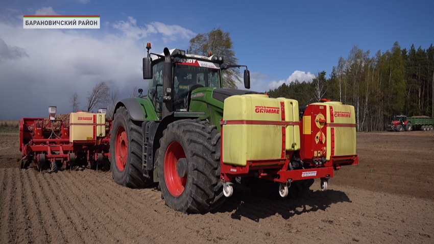 Во всех регионах Беларуси приступили к высадке картофеля