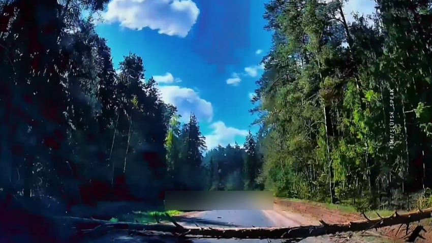 Работники МЧС продолжают ликвидировать последствия непогоды в Беларуси