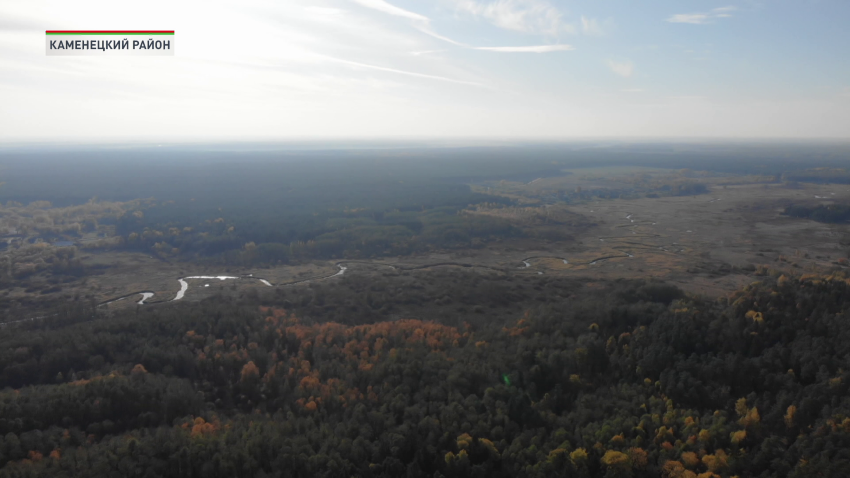 Каменецкий район