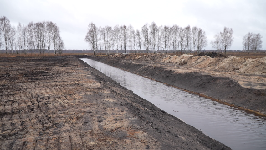 В Беларуси сделают упор на расчистку высокоплодородных земель