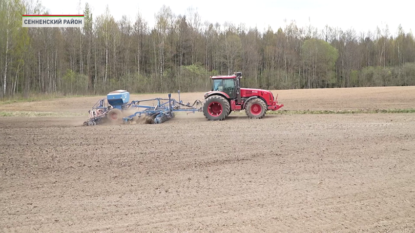 Аграрии Беларуси преодолели экватор посевной кампании
