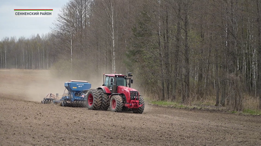 Аграрии Беларуси преодолели экватор посевной кампании