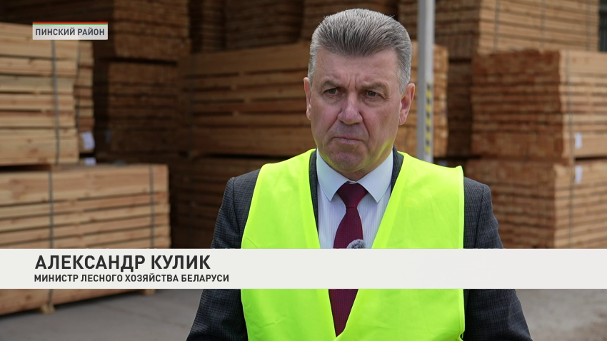 Александр Кулик