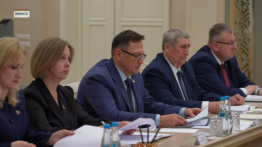 Экспертный совет при Совете Республики рассмотрел ряд законопроектов