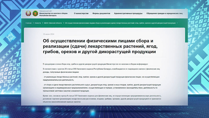 Ягода
