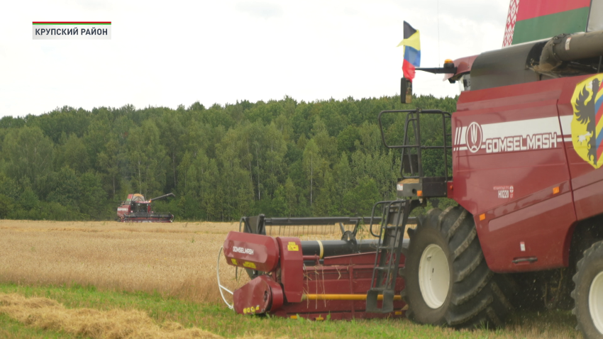 уборочная кампания