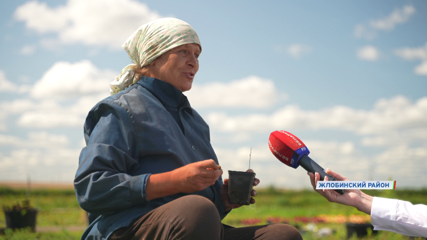 Наталья Осипович