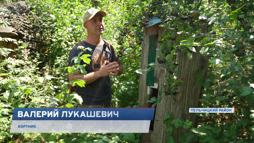 Валерий Лукашевич