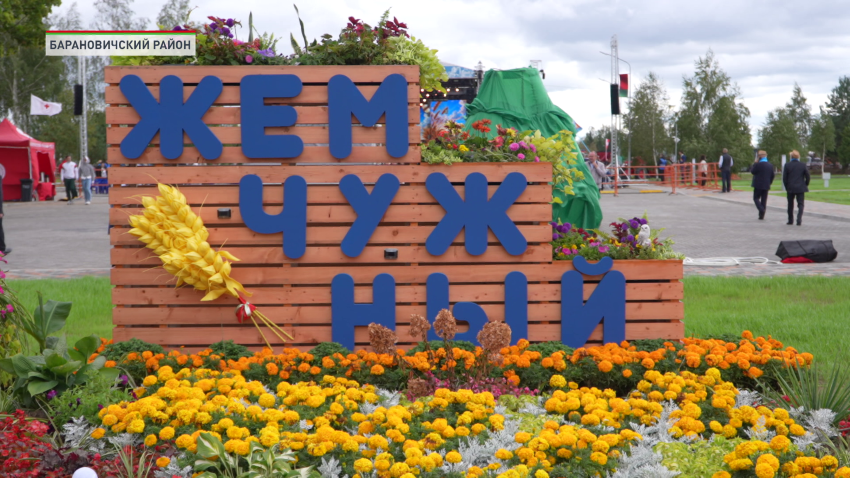 Праздник с ароматом хлеба! Областные «Дожинки-2026» прошли в агрогородке Жемчужный