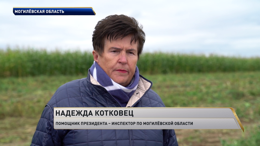 Надежда Котковец