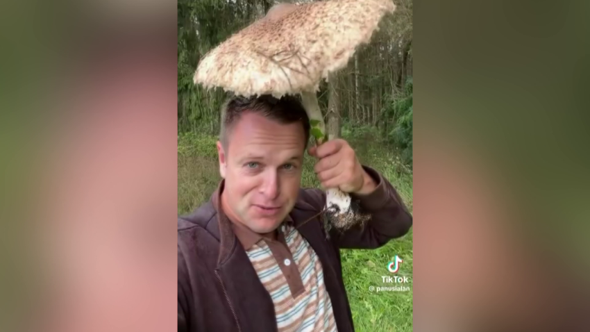 Как спасатели помогают заблудившимся выйти из леса