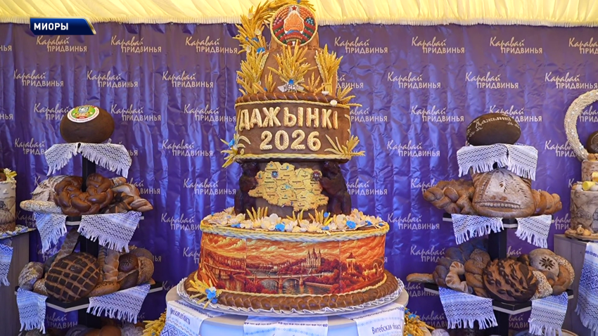 Какими запомнятся «Дожинки-2026» в Миорах: песни, караваи и главные герои жатвы