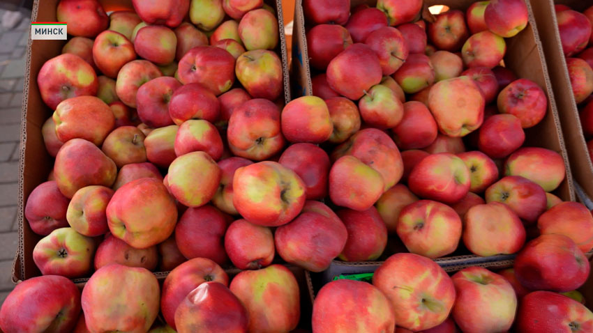 Сезон сельскохозяйственных ярмарок продолжается в Беларуси