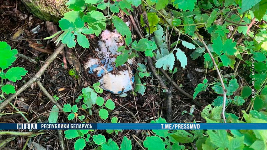 Задержаны школьник и учащийся колледжа, работавшие закладчиками наркомаркета в Брестской области