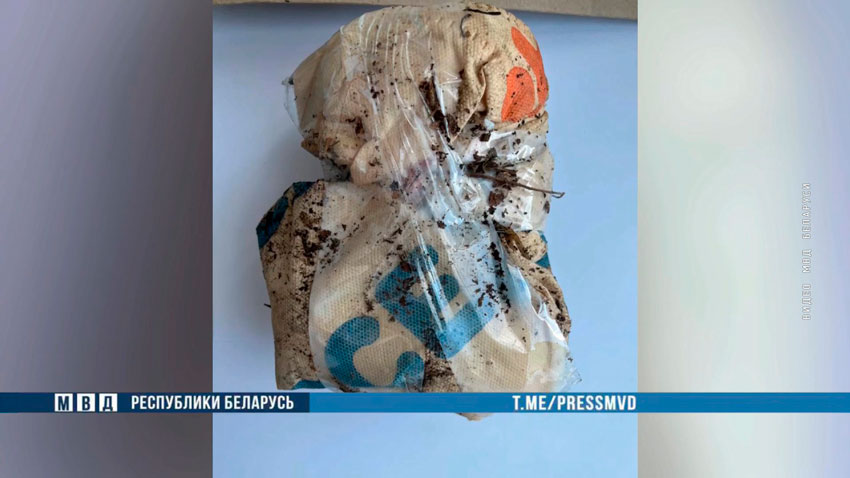 Школьник и учащийся колледжа работали закладчиками наркомаркета в Брестской области