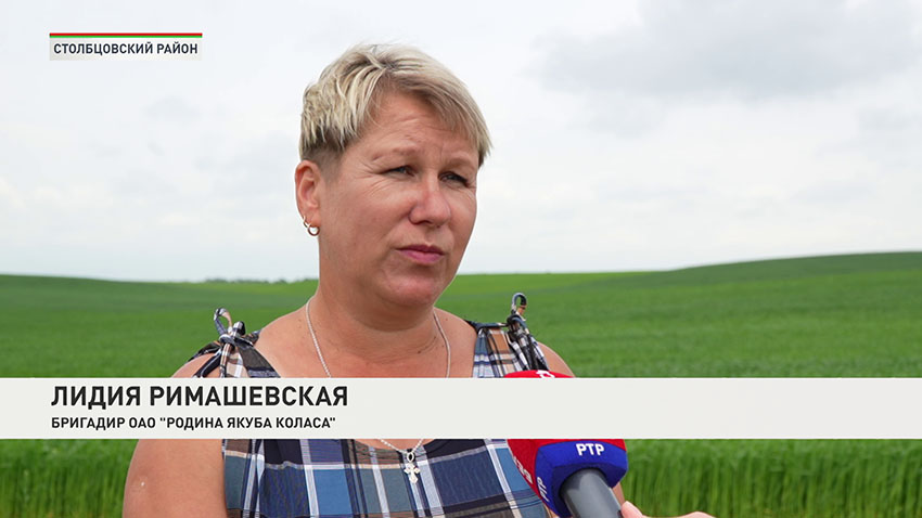 Аграрии