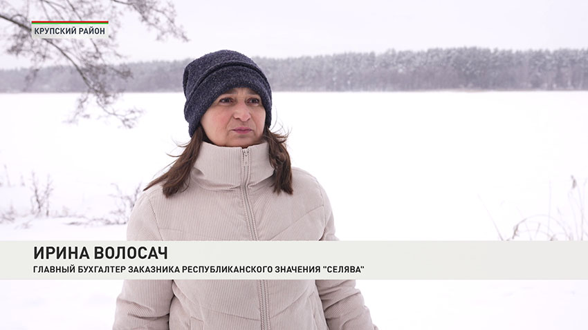 Ирина Волосач