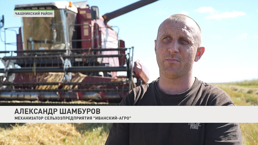 Александр Шамбуров, механизатор сельхозпредприятия «Иванский-Агро»
