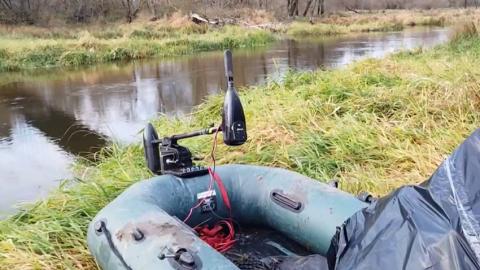 Два поляка незаконно пересекли границу Беларуси