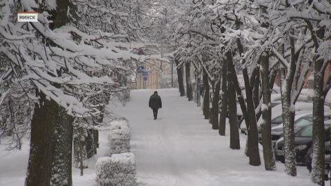 Снегопад ожидается в Беларуси 28 ноября
