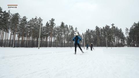 В Борисове планируют оборудовать новую лыжероллерную трассу