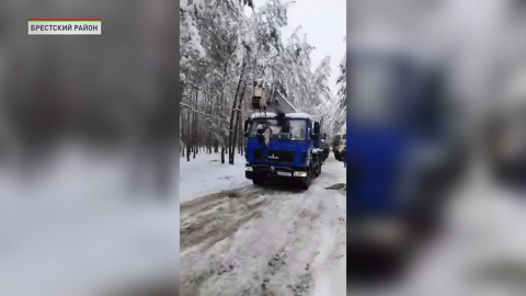 В Брестском районе проблемы с электричеством из-за непогоды