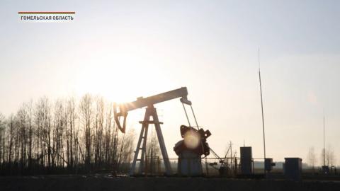 «Белоруснефть» установила новый рекорд по годовым объемам добычи нефти. В 2023 наши специалисты получили 1876 тысяч тонн «черного золота»
