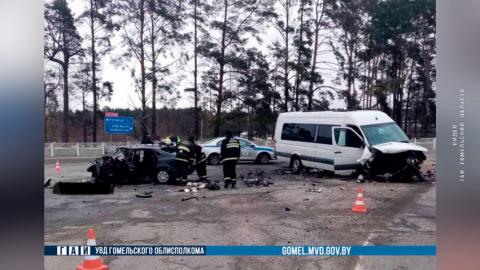 ДТП в Гомельской области