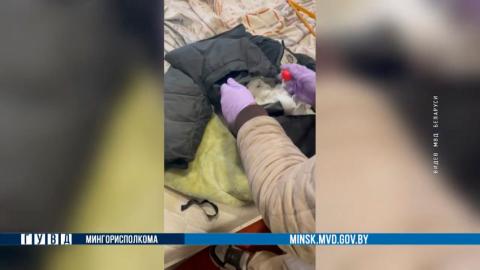 В Минске правоохранители при задержании двух курьеров изъяли полкилограмма психотропов