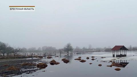 В некоторых районах Брестской области отмечают сезонные подтопления