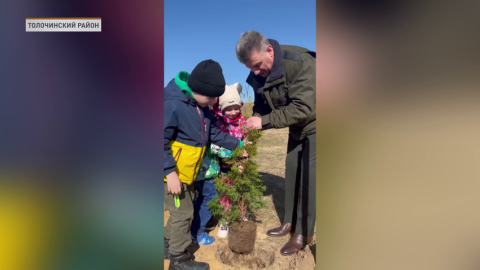 Лесхозы создадут парки в честь 80-летия освобождения Беларуси