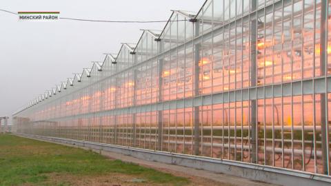 Наибольшие объемы продуктов питания выращивают в Минской, Витебской, Гомельской и Брестской областях