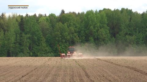 Белорусские аграрии завершили сев кукурузы на зерно