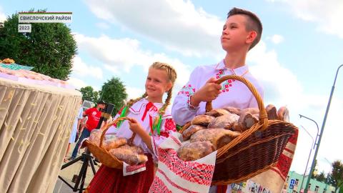 Праздник посвятят 30-летию института президентства в Беларуси и 80-летию освобождения страны от немецко-фашистских захватчиков