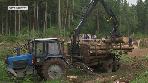 Работа по преодолению последствий урагана