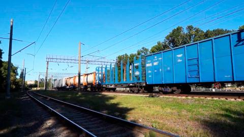 БЖД оказывает помощь в перевозке сахарной свёклы нового урожая