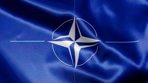 Семь стран НАТО выступают против принятия Украины в Альянс